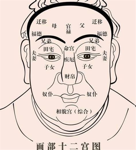 麻衣面相|面相解析：麻衣相法大全图解